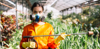 Professional Help for Pest Infestations in Allentown, PA: Green Flags to Check